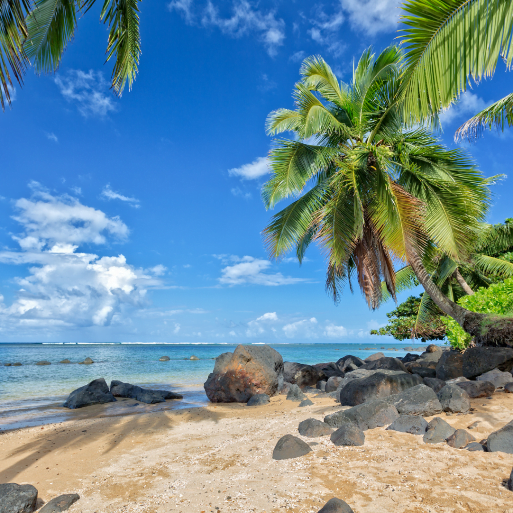 rare-language-fact-file-hawaiian-the-language-shop